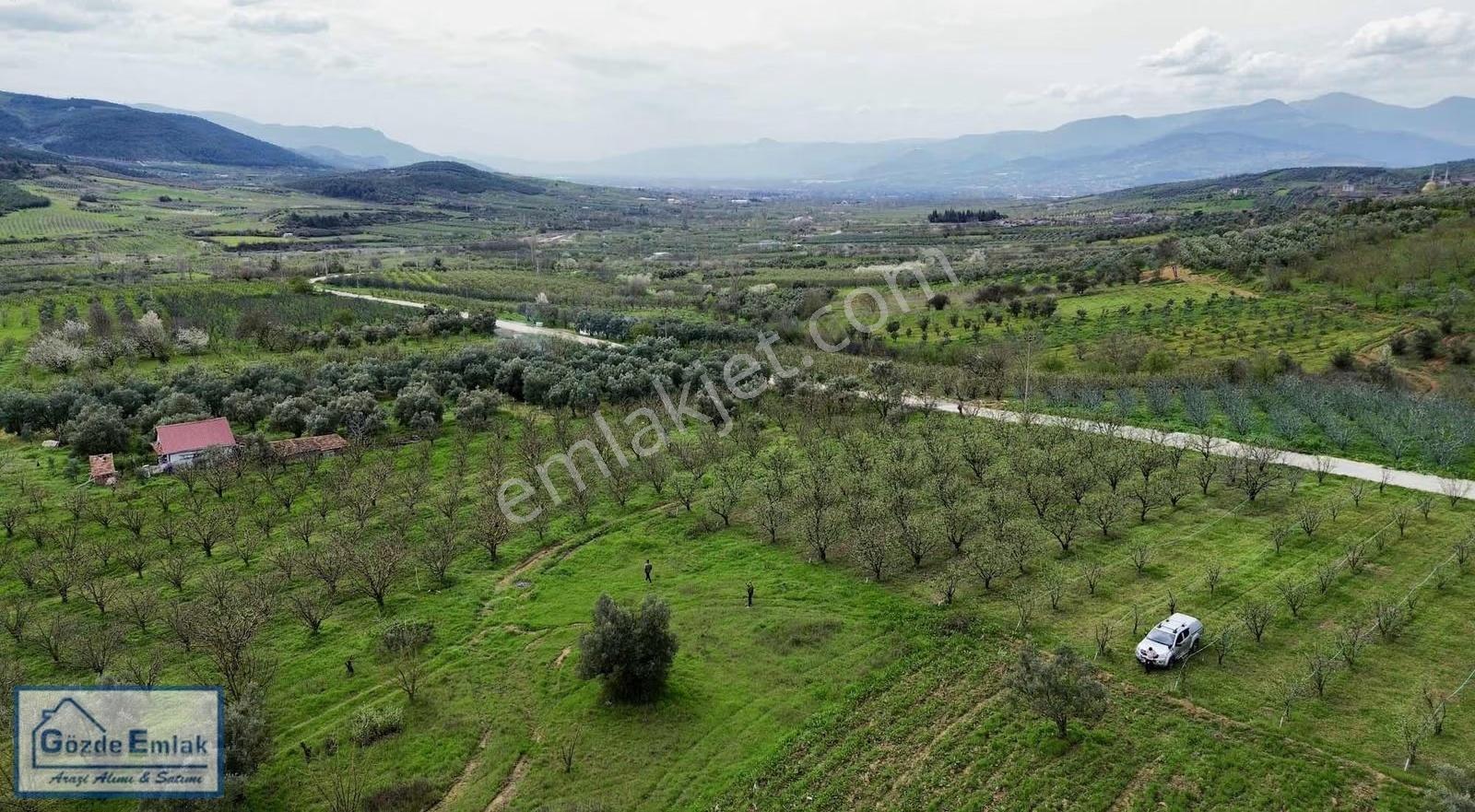 Geyve Burhaniye 740m2 Düz Zemin Asfalta 50 Metre - Görsel 9