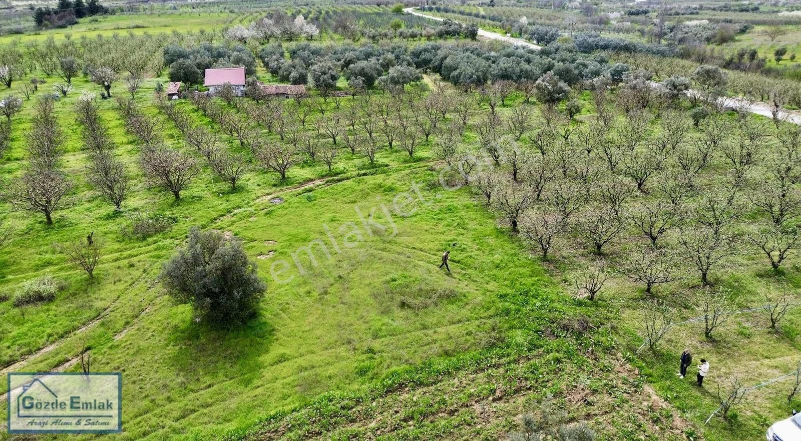 Geyve Burhaniye 740m2 Düz Zemin Asfalta 50 Metre - Görsel 14