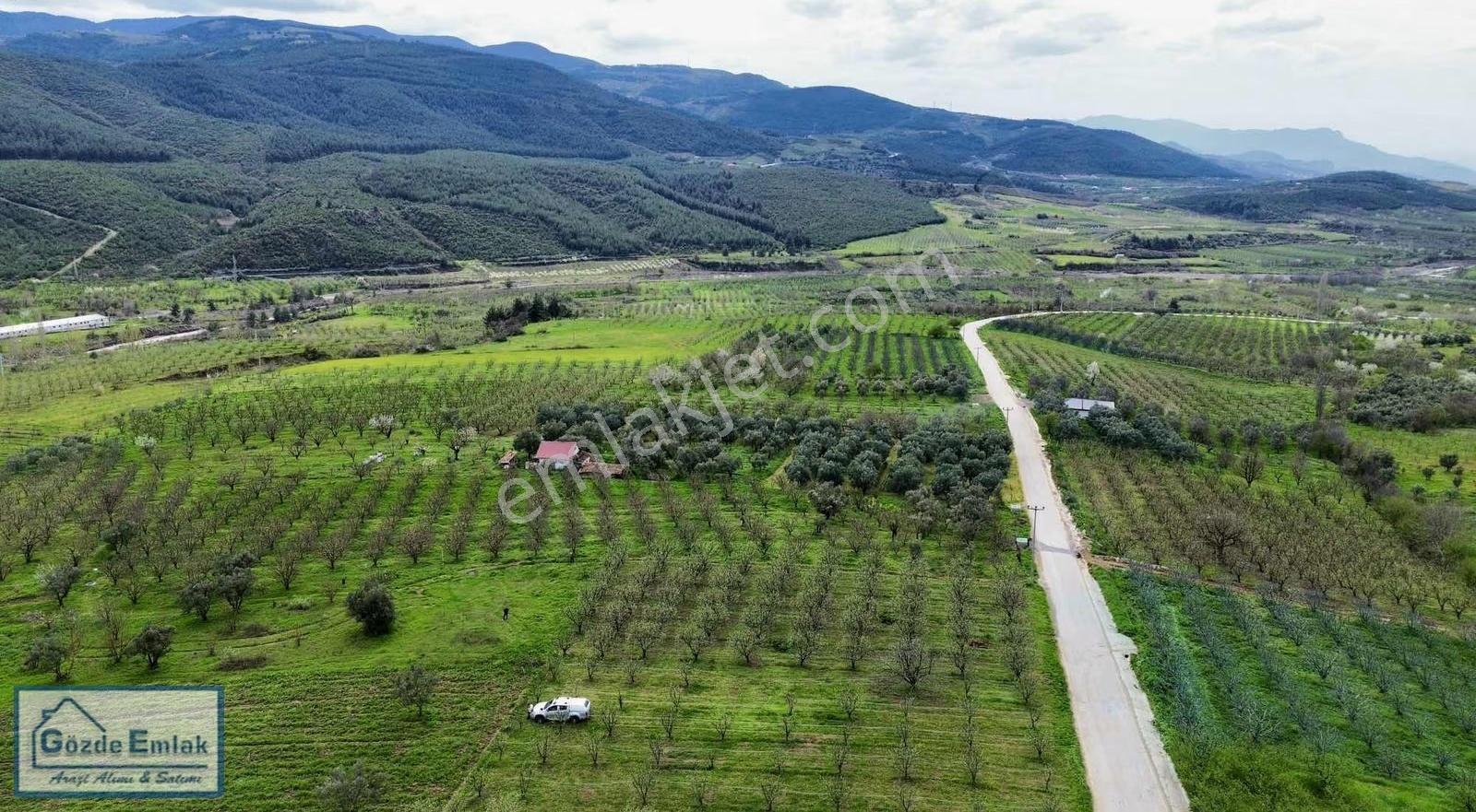 Geyve Burhaniye 740m2 Düz Zemin Asfalta 50 Metre - Görsel 17