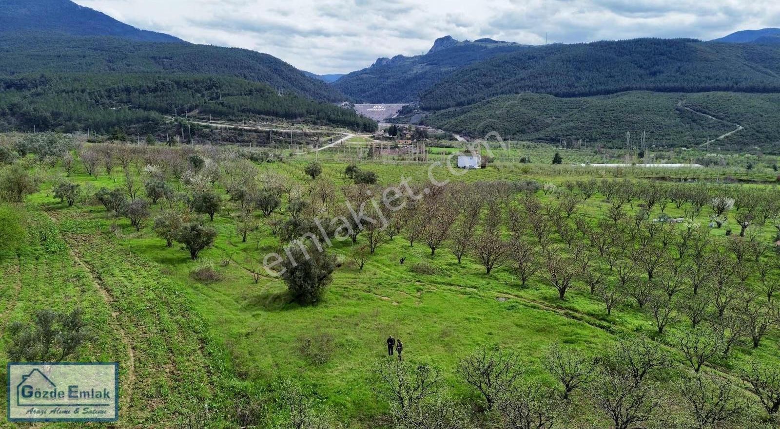 Geyve Burhaniye 740m2 Düz Zemin Asfalta 50 Metre - Görsel 21