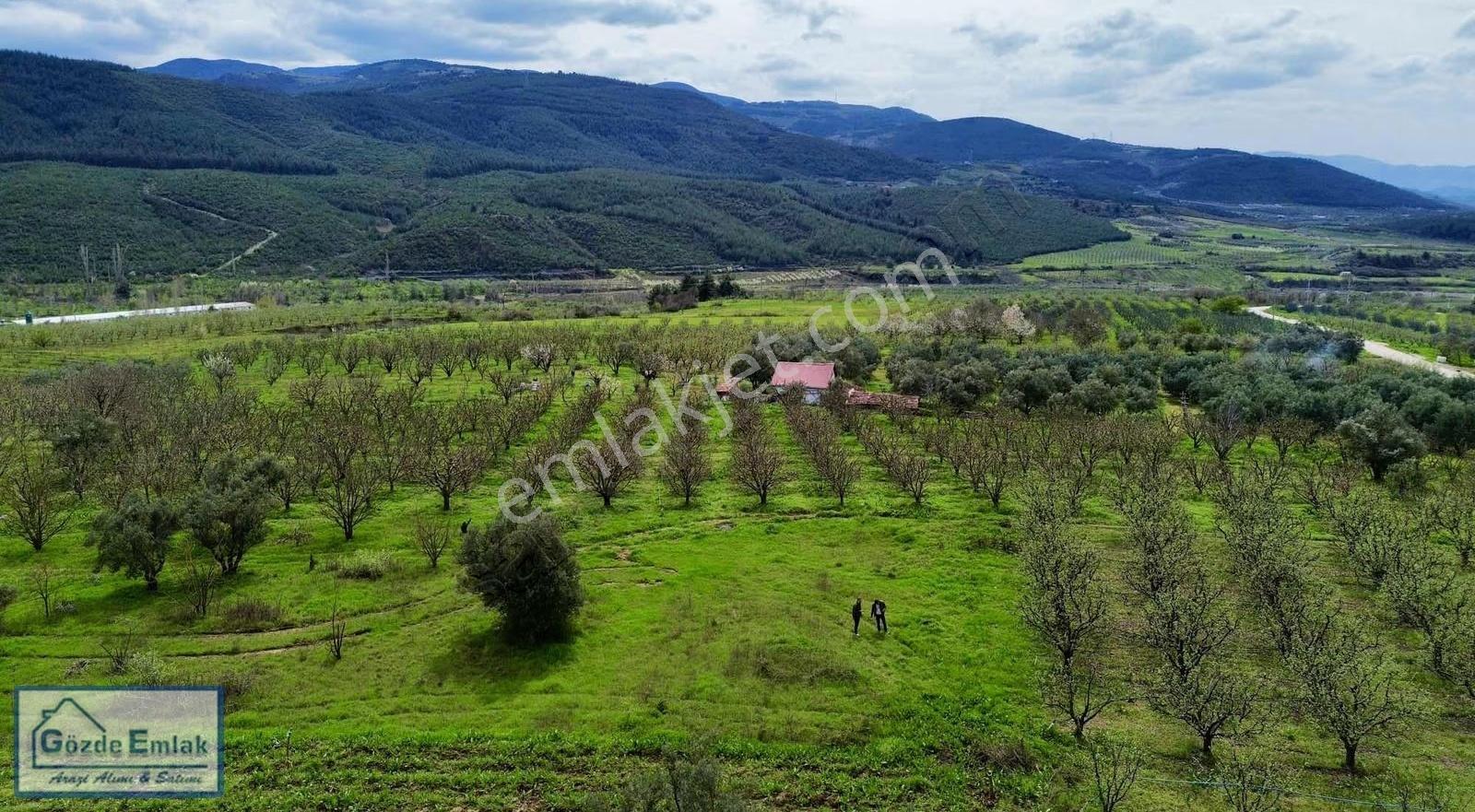 Geyve Burhaniye 740m2 Düz Zemin Asfalta 50 Metre - Görsel 24