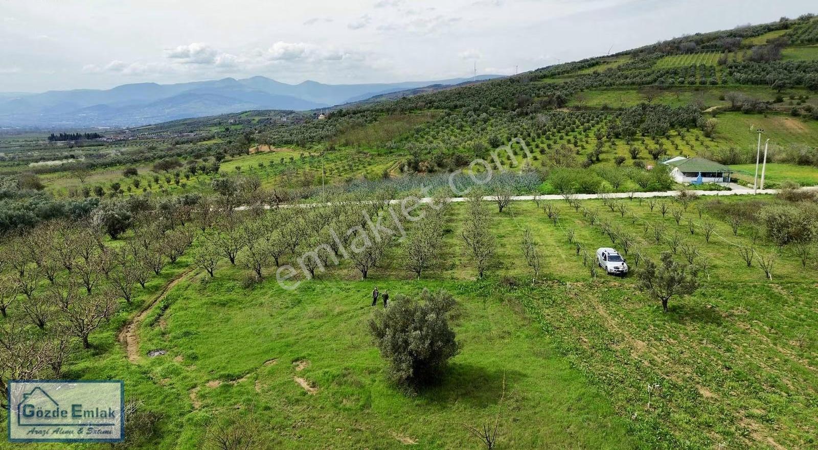 Geyve Burhaniye 740m2 Düz Zemin Asfalta 50 Metre - Görsel 26