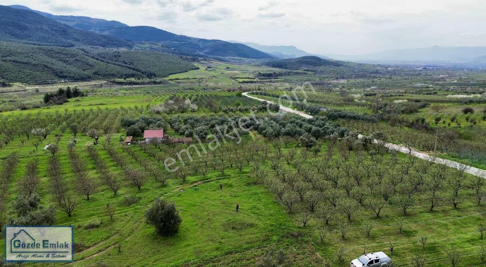 Geyve Burhaniye 740m2 Düz Zemin Asfalta 50 Metre - Görsel 18