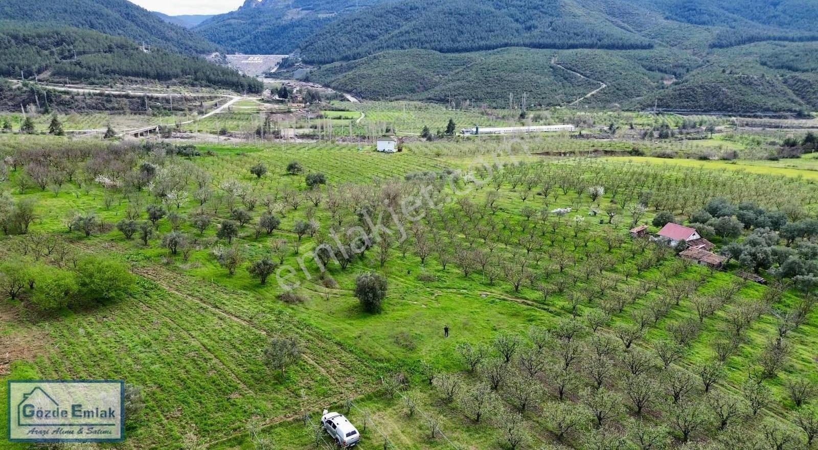 Geyve Burhaniye 740m2 Düz Zemin Asfalta 50 Metre - Görsel 2