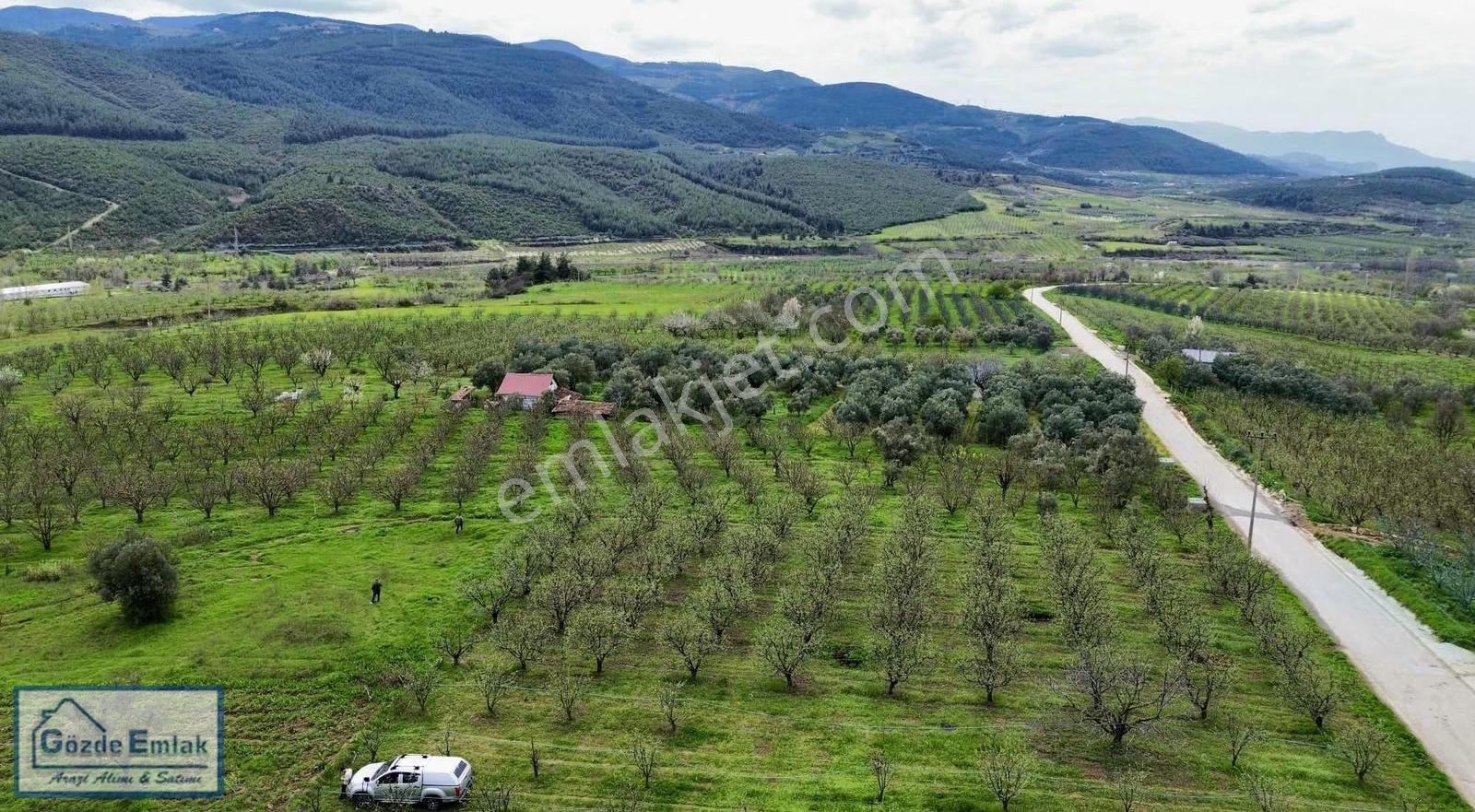 Geyve Burhaniye 740m2 Düz Zemin Asfalta 50 Metre - Görsel 23