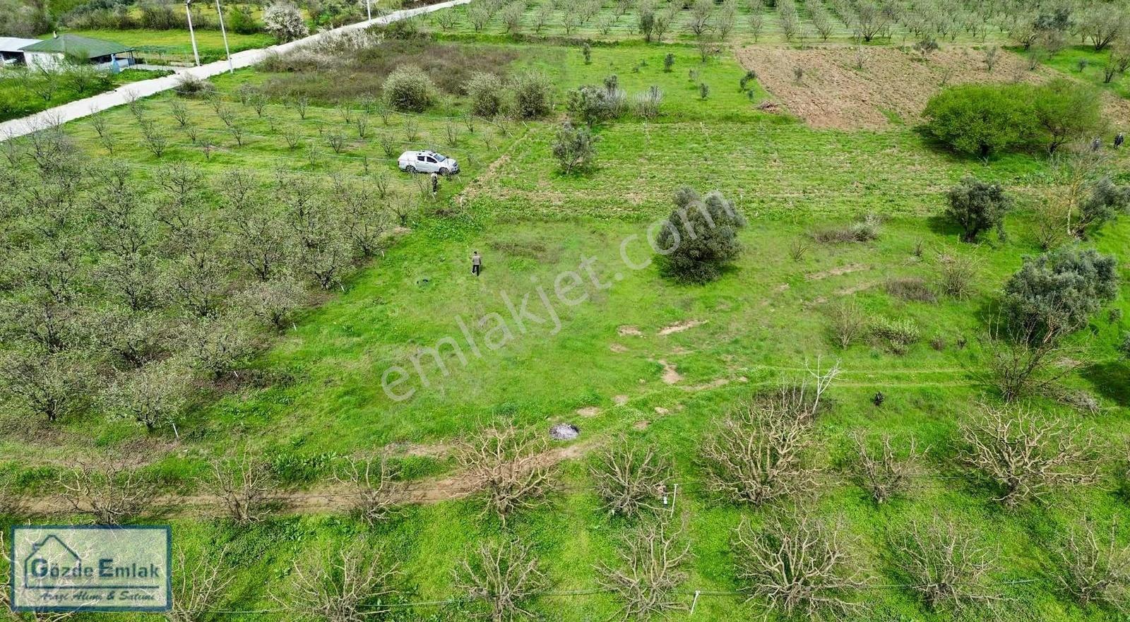 Geyve Burhaniye 740m2 Düz Zemin Asfalta 50 Metre - Görsel 4