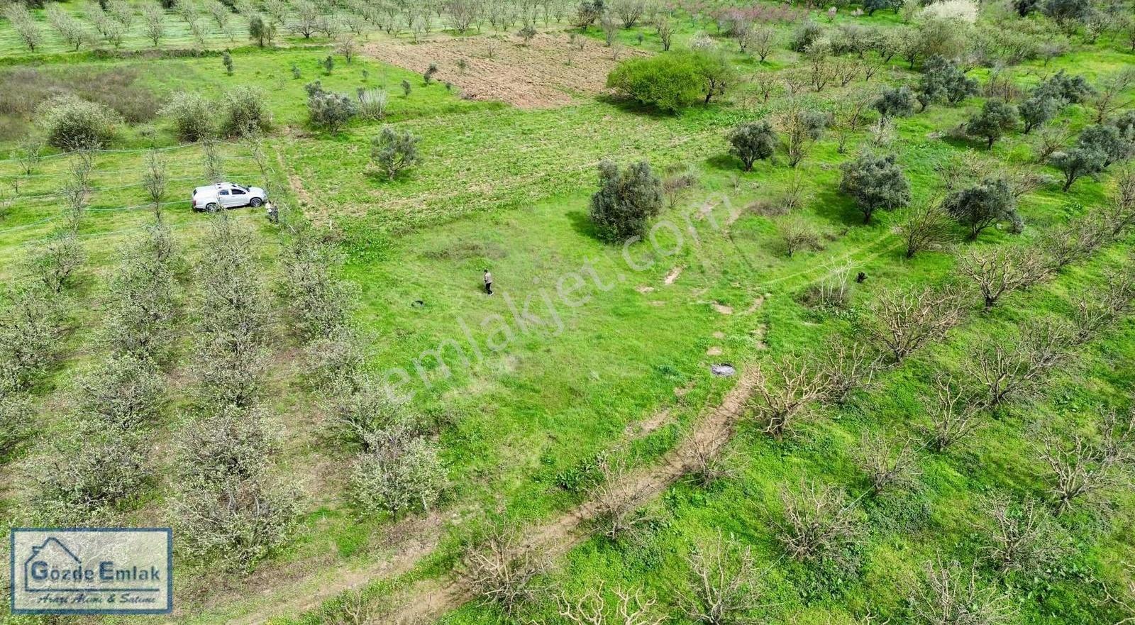Geyve Burhaniye 740m2 Düz Zemin Asfalta 50 Metre - Görsel 27
