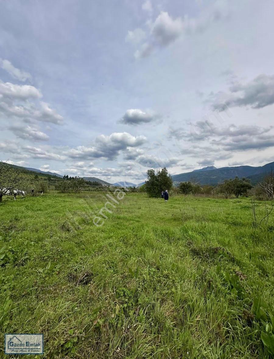 Geyve Burhaniye 740m2 Düz Zemin Asfalta 50 Metre - Görsel 13