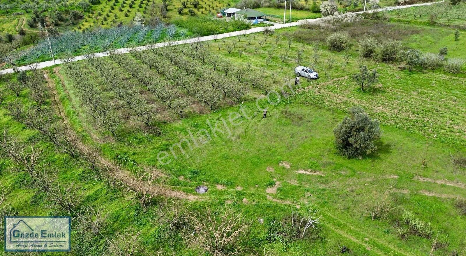 Geyve Burhaniye 740m2 Düz Zemin Asfalta 50 Metre - Görsel 20