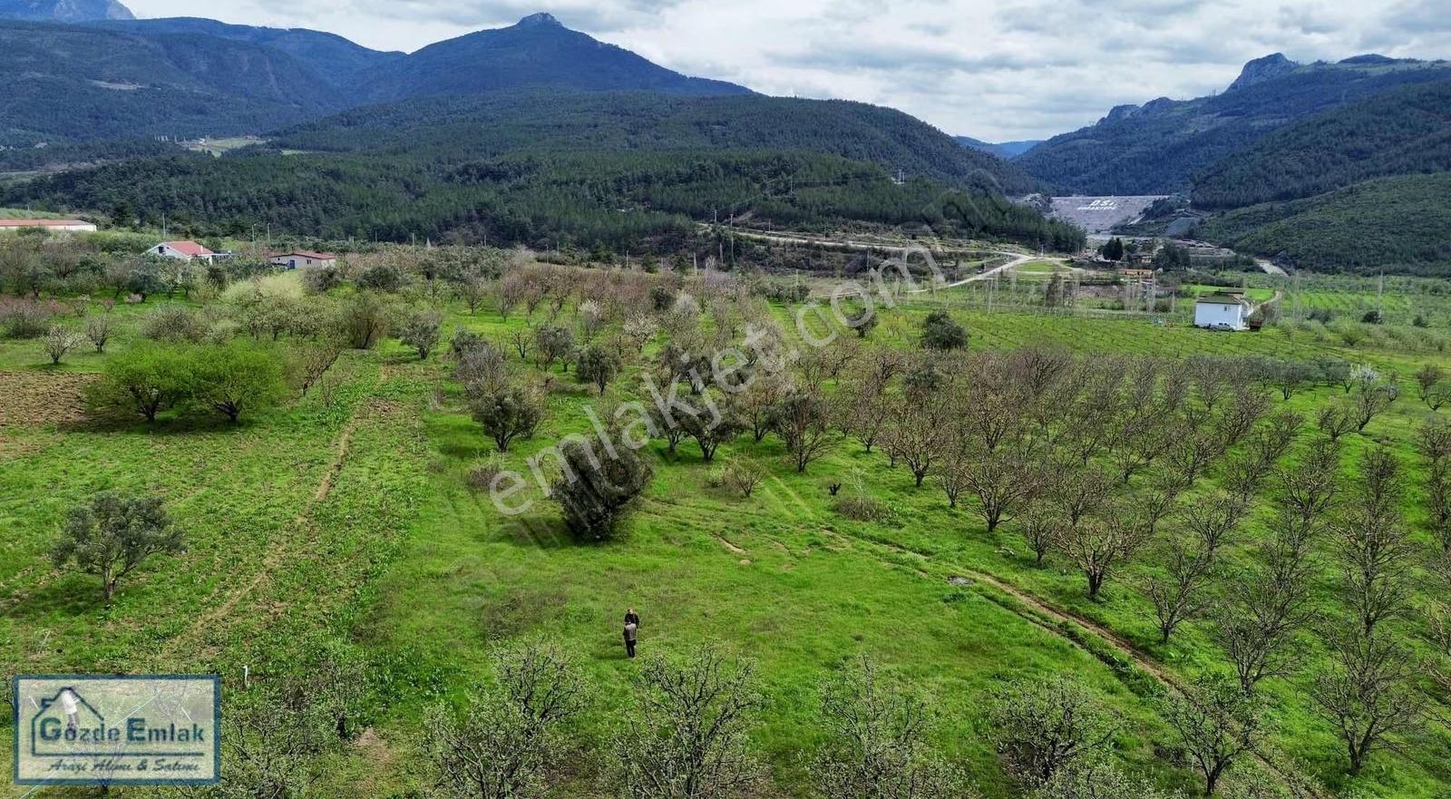 Geyve Burhaniye 740m2 Düz Zemin Asfalta 50 Metre - Görsel 11