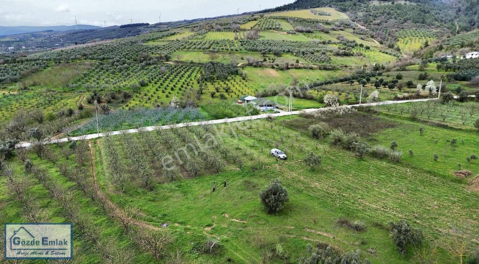 Geyve Burhaniye 740m2 Düz Zemin Asfalta 50 Metre