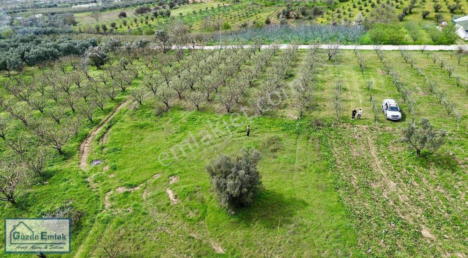Geyve Burhaniye 740m2 Düz Zemin Asfalta 50 Metre - Görsel 19