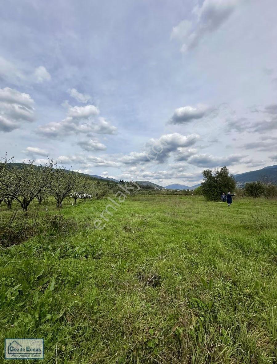 Geyve Burhaniye 740m2 Düz Zemin Asfalta 50 Metre - Görsel 3