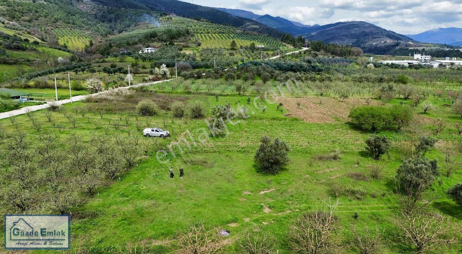 Geyve Burhaniye 740m2 Düz Zemin Asfalta 50 Metre - Görsel 7
