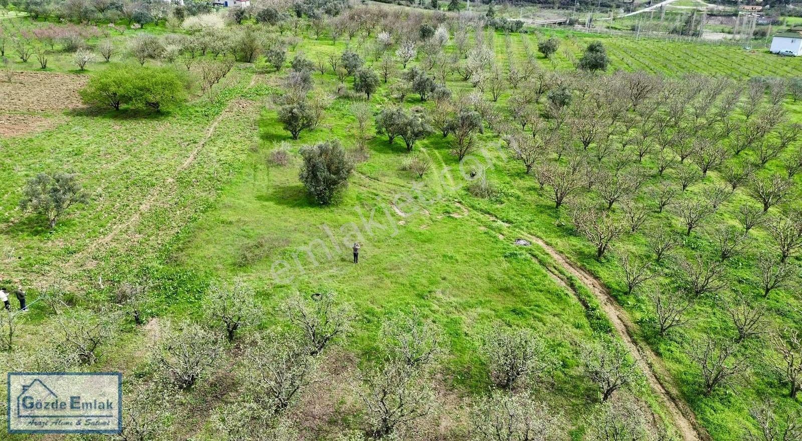 Geyve Burhaniye 740m2 Düz Zemin Asfalta 50 Metre - Görsel 16