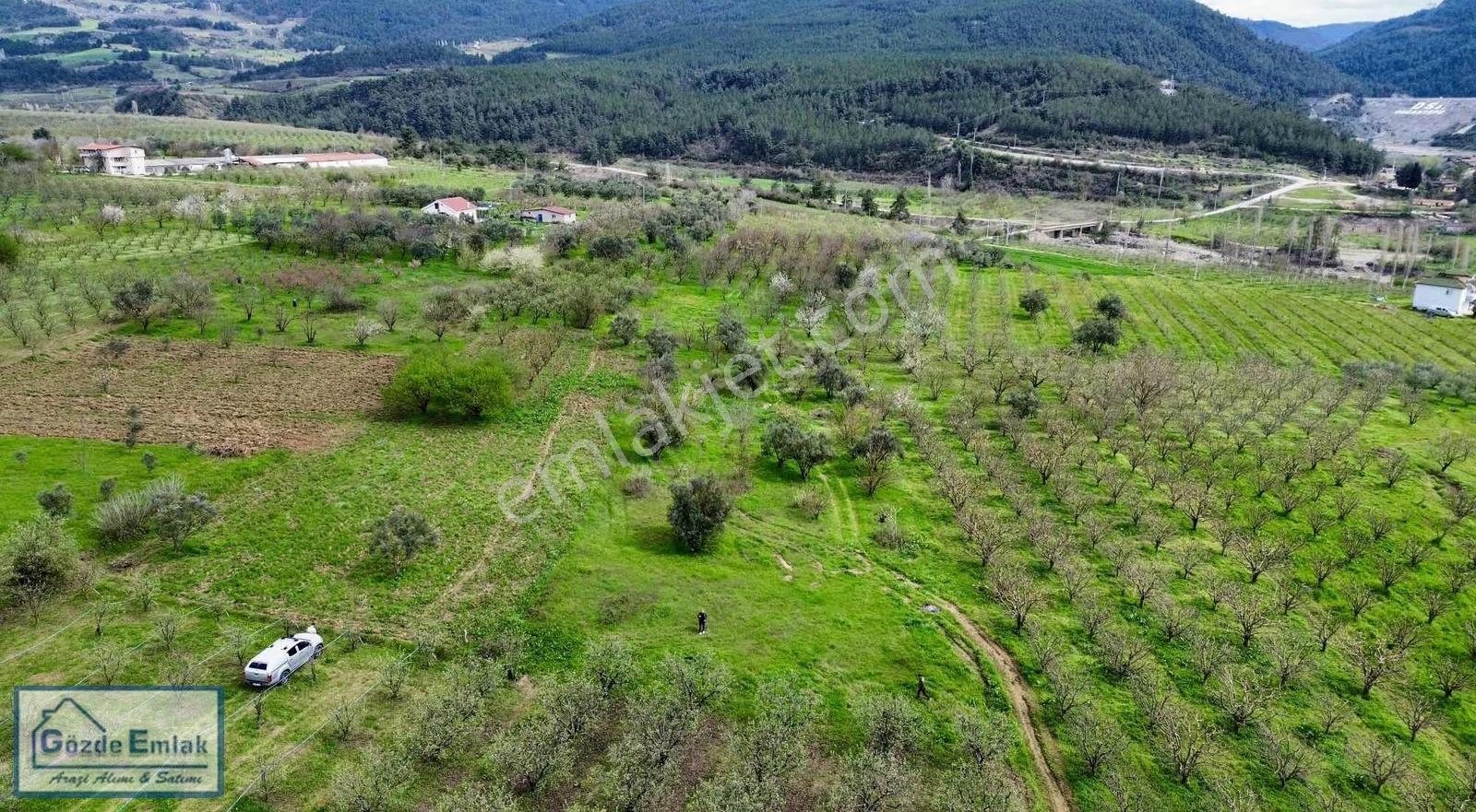 Geyve Burhaniye 740m2 Düz Zemin Asfalta 50 Metre - Görsel 22
