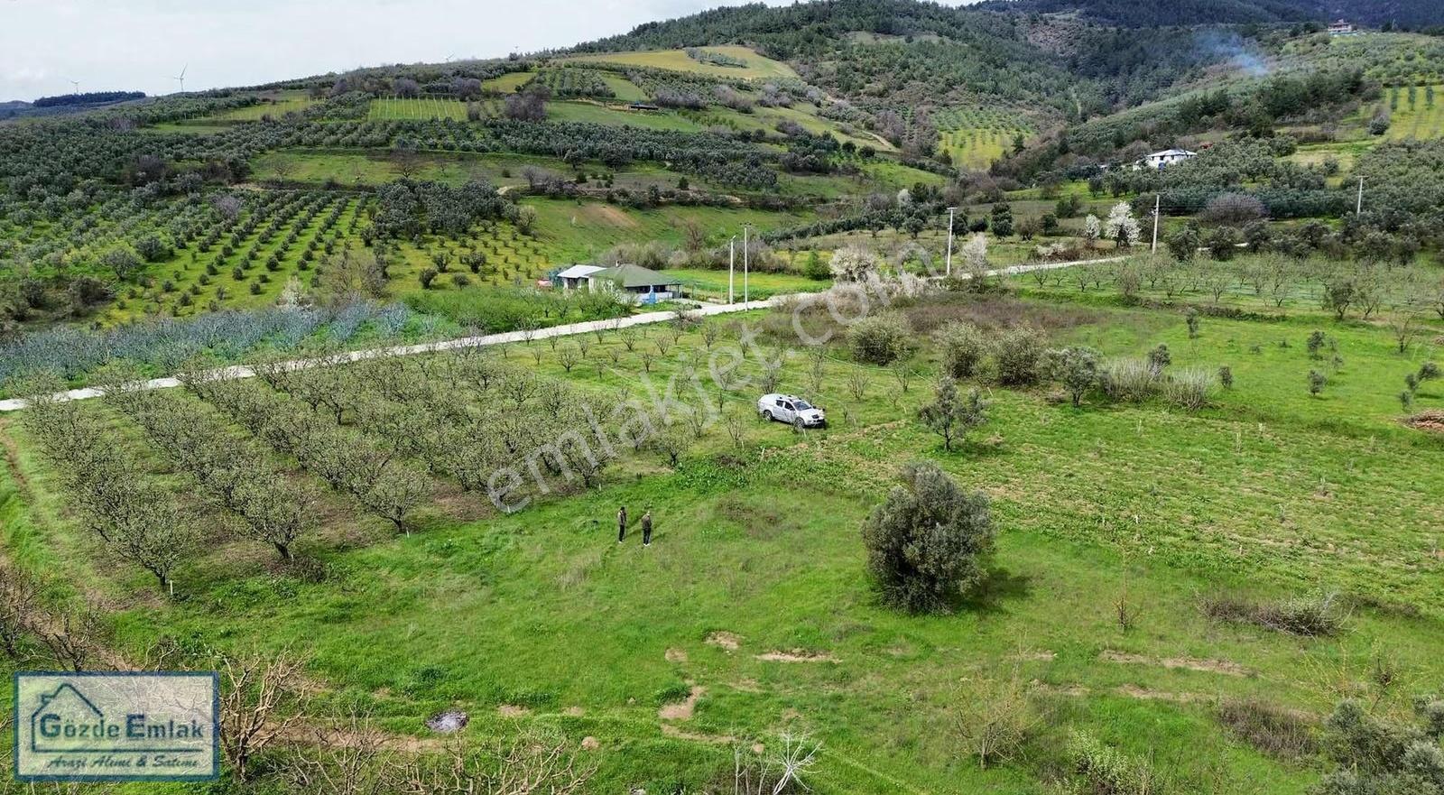 Geyve Burhaniye 740m2 Düz Zemin Asfalta 50 Metre - Görsel 5