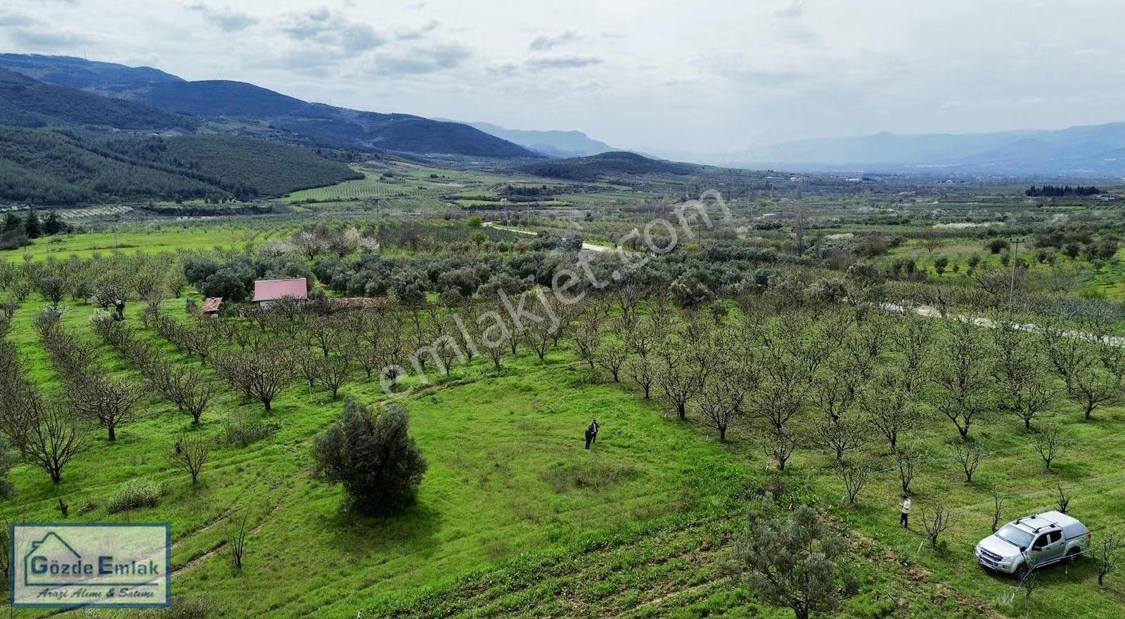 Geyve Burhaniye 740m2 Düz Zemin Asfalta 50 Metre - Görsel 25