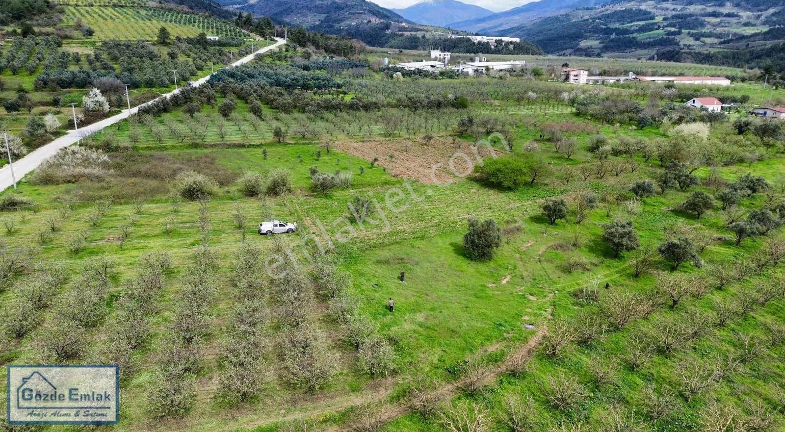 Geyve Burhaniye 740m2 Düz Zemin Asfalta 50 Metre - Görsel 28