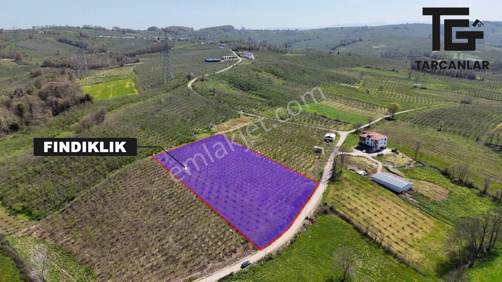 Tarcanlar'dan Sakarya Kaynarca Asfaltyol Cepheli 6.225 M² Tarla - Görsel 14