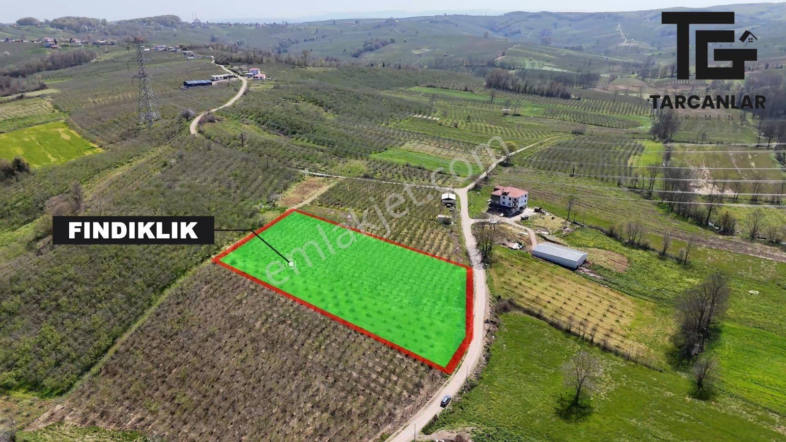 Tarcanlar'dan Sakarya Kaynarca Asfaltyol Cepheli 6.225 M² Tarla - Görsel 26