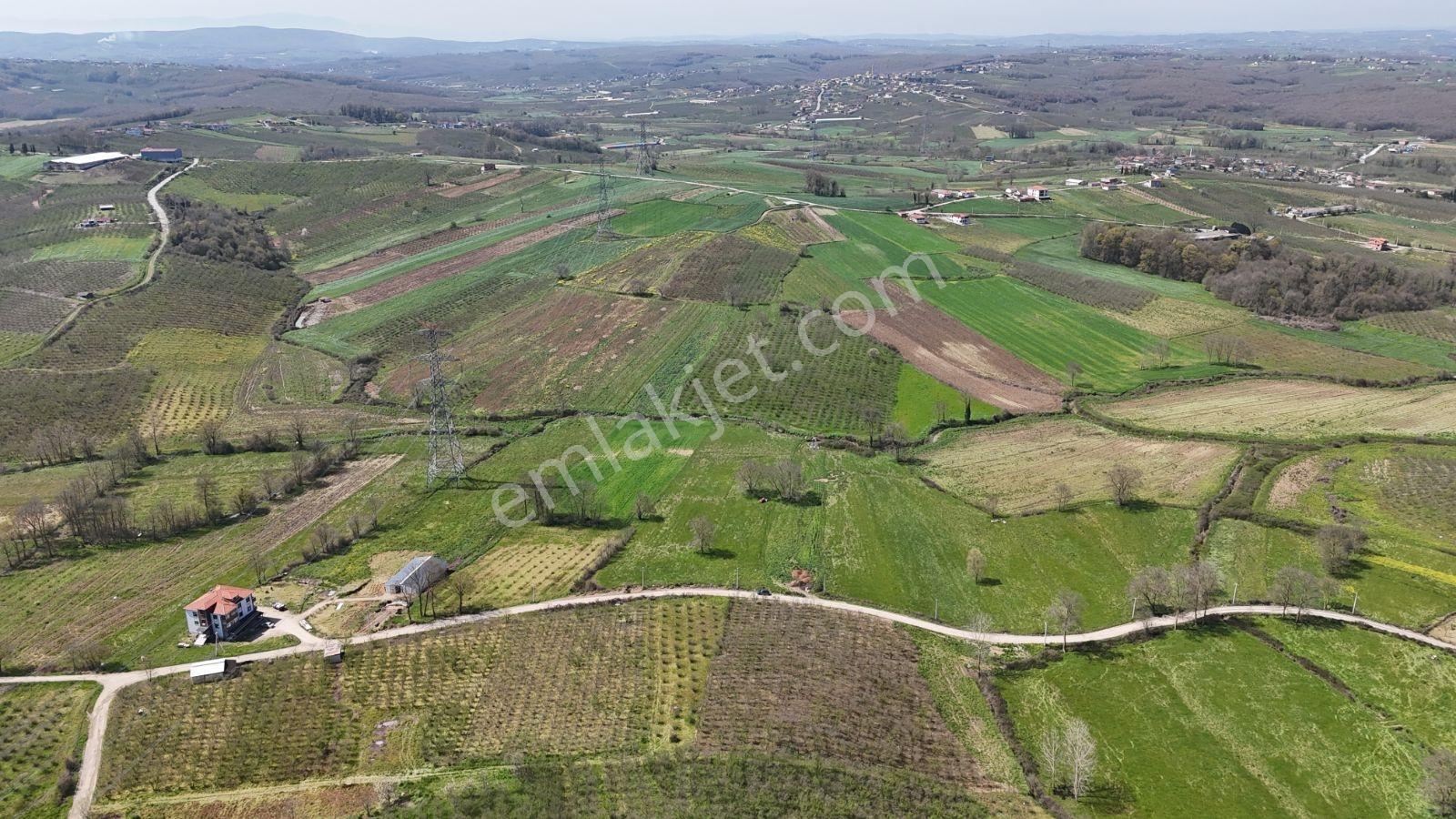 Tarcanlar'dan Sakarya Kaynarca Asfaltyol Cepheli 6.225 M² Tarla - Görsel 2