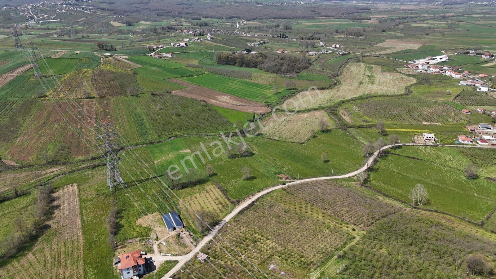 Tarcanlar'dan Sakarya Kaynarca Asfaltyol Cepheli 6.225 M² Tarla - Görsel 29