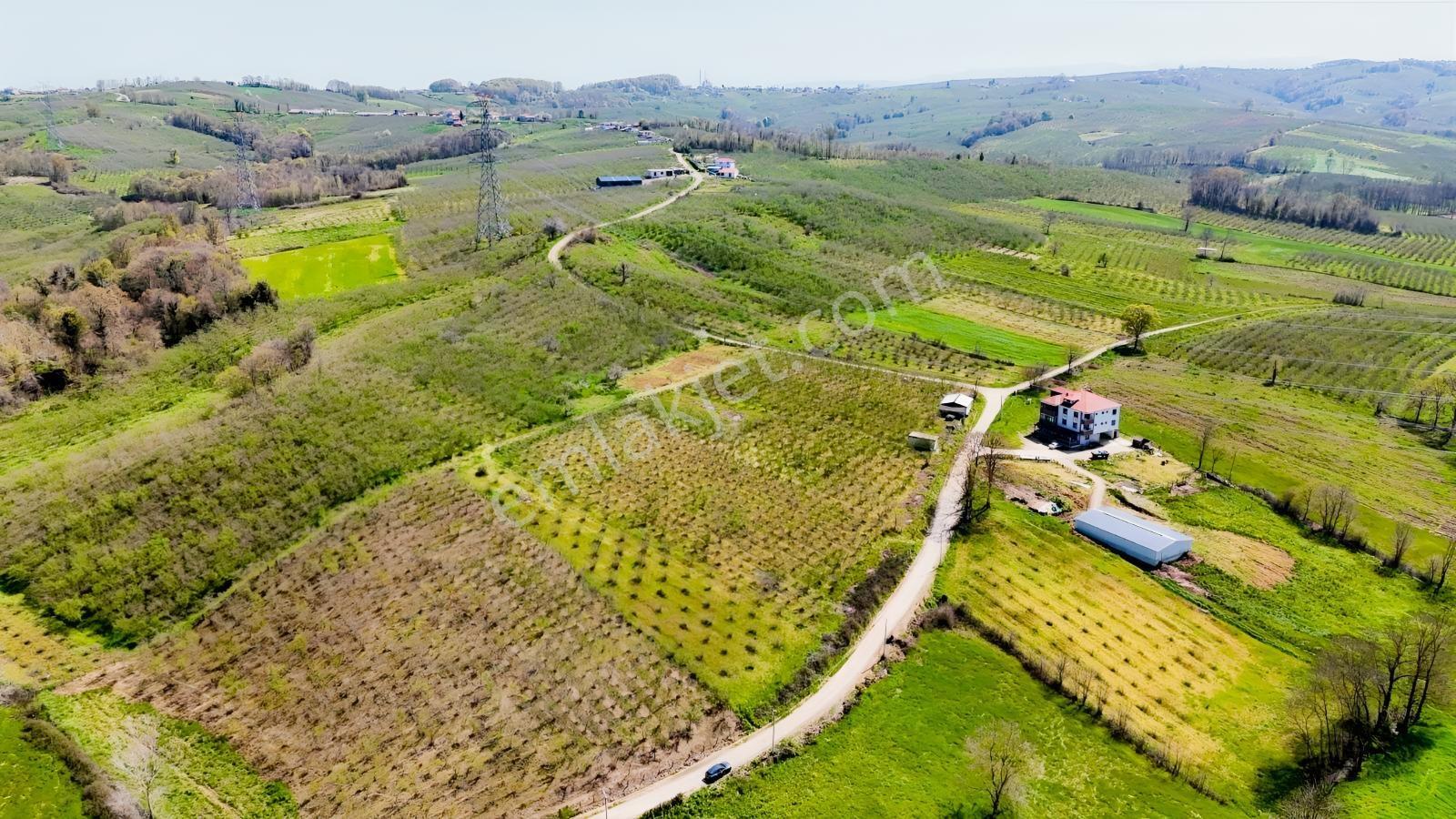 Tarcanlar'dan Sakarya Kaynarca Asfaltyol Cepheli 6.225 M² Tarla