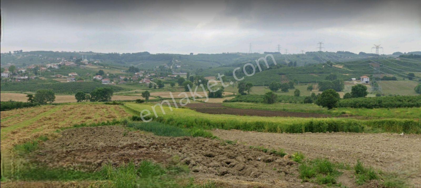 Tarcanlar'dan Sakarya Kaynarca Asfaltyol Cepheli 6.225 M² Tarla - Görsel 17