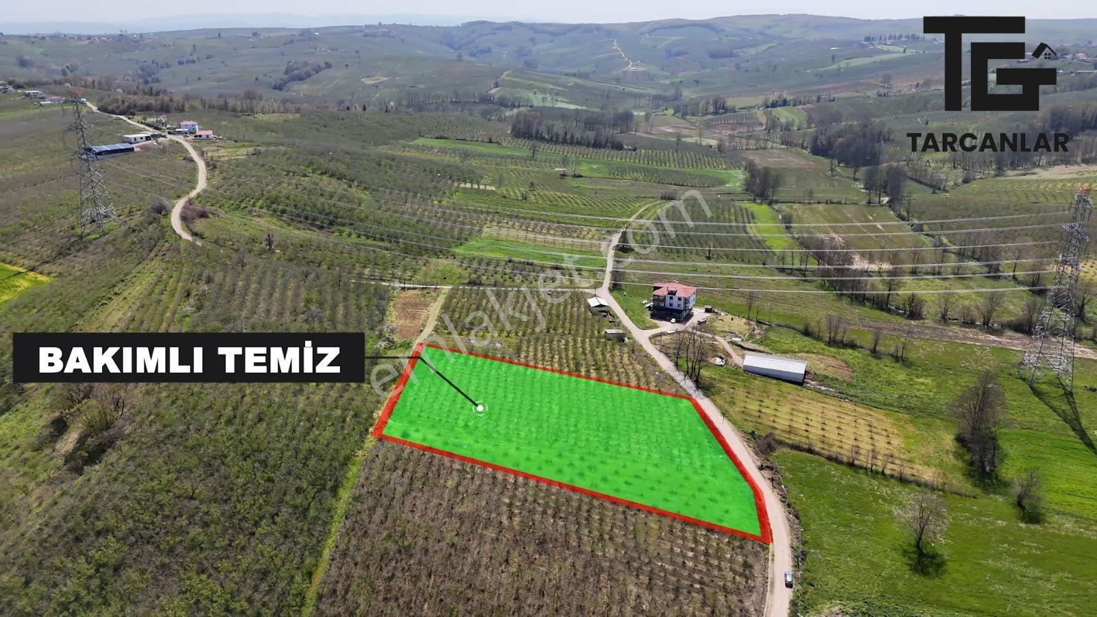 Tarcanlar'dan Sakarya Kaynarca Asfaltyol Cepheli 6.225 M² Tarla - Görsel 7