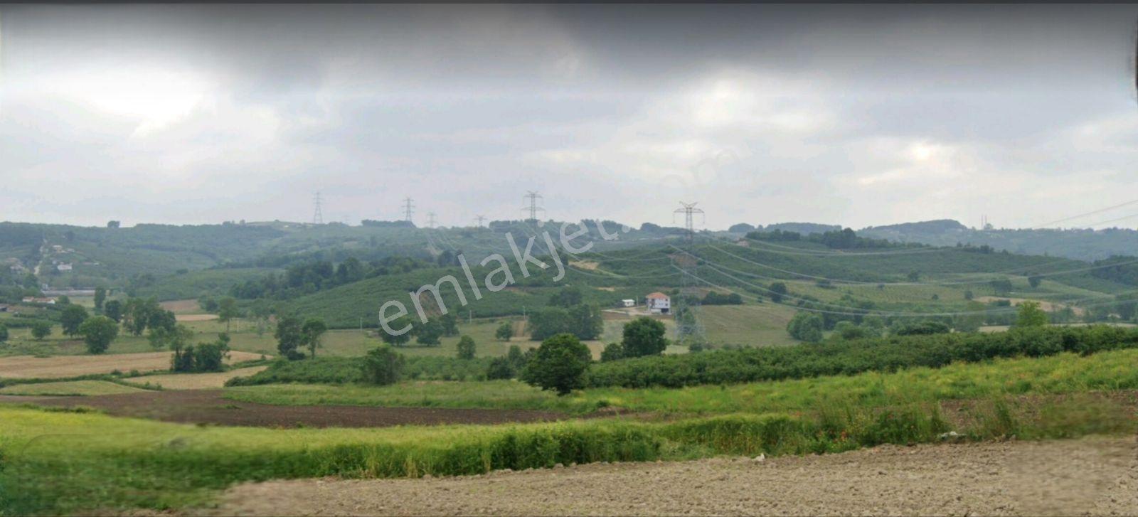 Tarcanlar'dan Sakarya Kaynarca Asfaltyol Cepheli 6.225 M² Tarla - Görsel 27