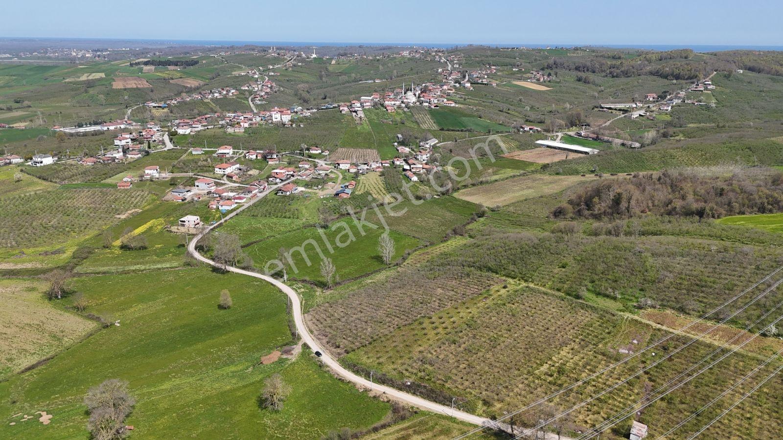 Tarcanlar'dan Sakarya Kaynarca Asfaltyol Cepheli 6.225 M² Tarla - Görsel 23