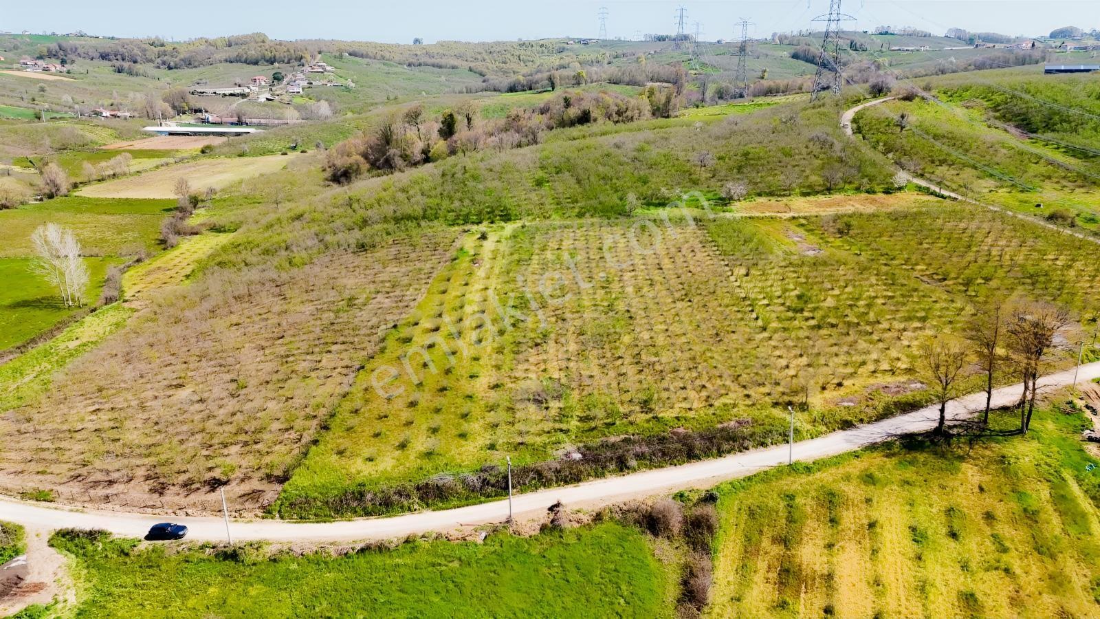 Tarcanlar'dan Sakarya Kaynarca Asfaltyol Cepheli 6.225 M² Tarla - Görsel 10