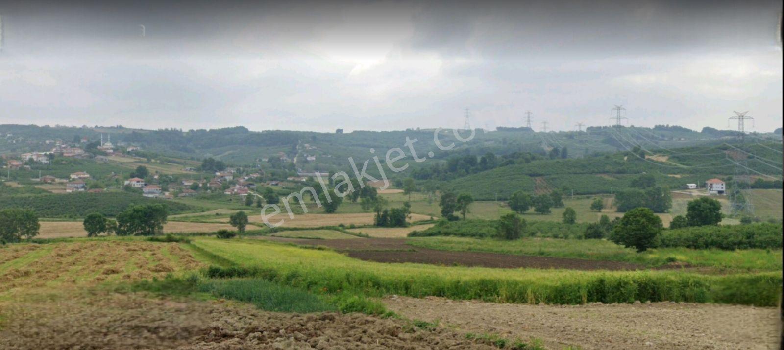 Tarcanlar'dan Sakarya Kaynarca Asfaltyol Cepheli 6.225 M² Tarla - Görsel 18