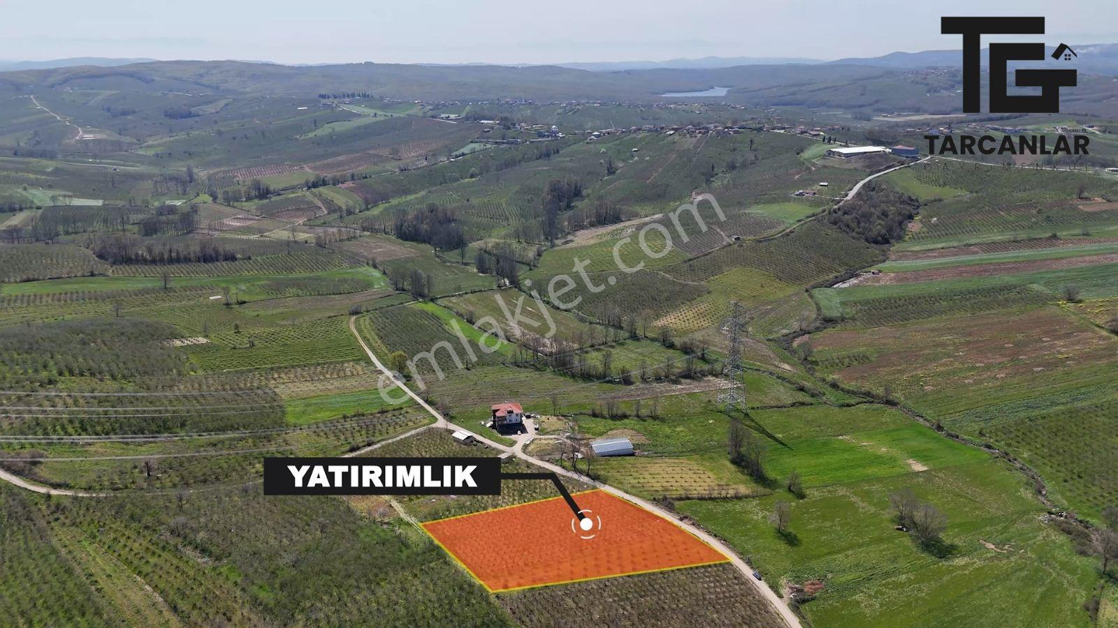 Tarcanlar'dan Sakarya Kaynarca Asfaltyol Cepheli 6.225 M² Tarla - Görsel 13