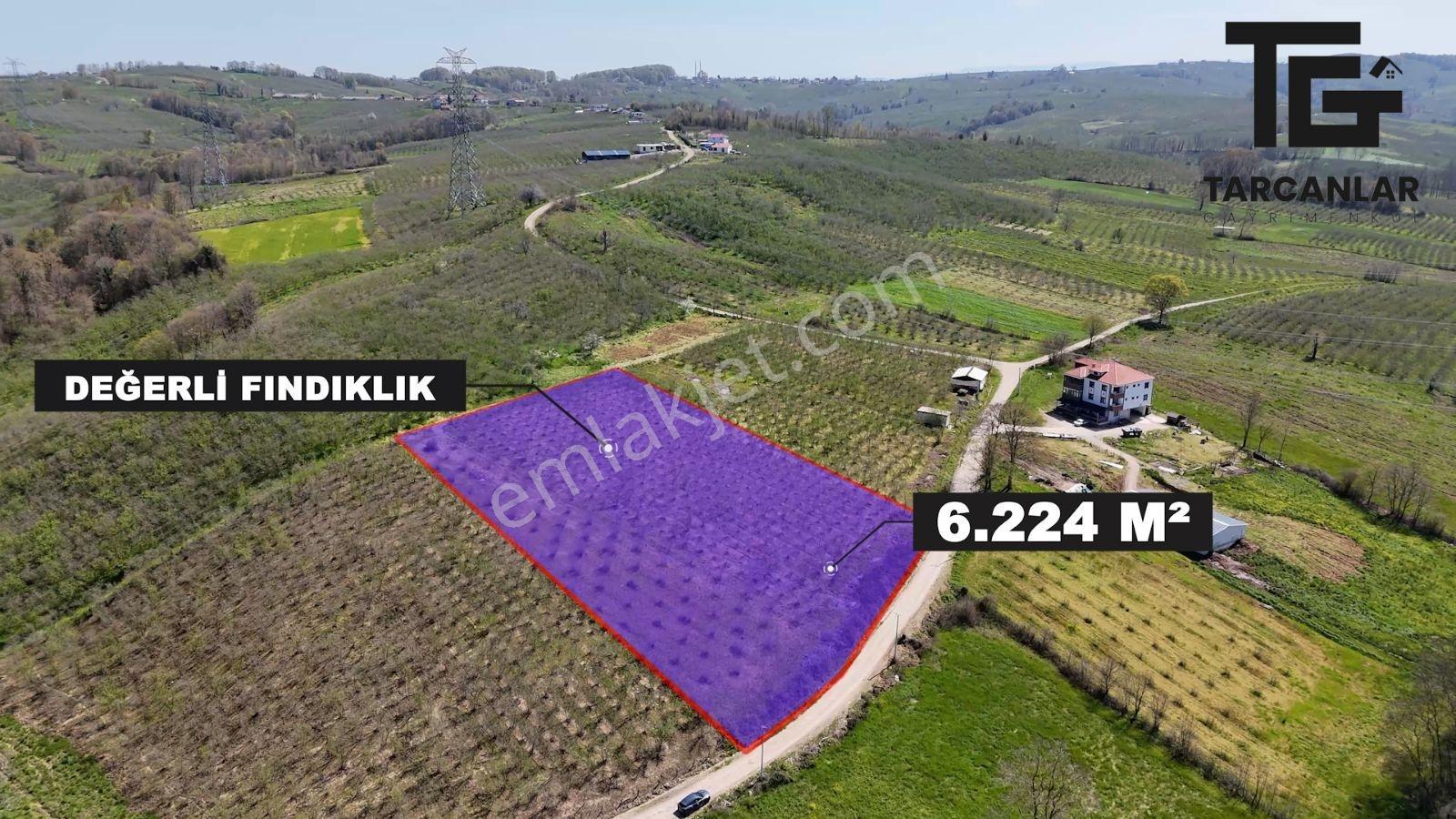 Tarcanlar'dan Sakarya Kaynarca Asfaltyol Cepheli 6.225 M² Tarla - Görsel 15