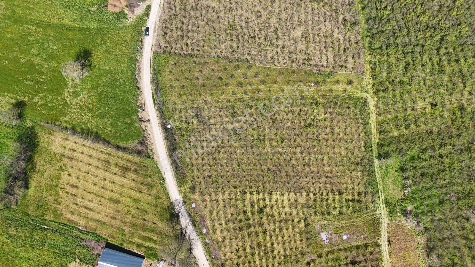 Tarcanlar'dan Sakarya Kaynarca Asfaltyol Cepheli 6.225 M² Tarla - Görsel 24