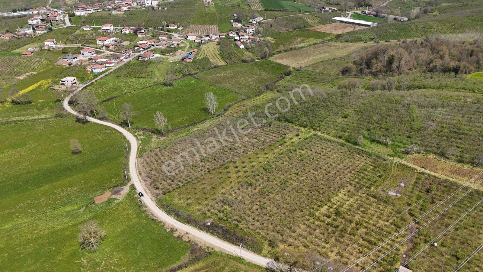 Tarcanlar'dan Sakarya Kaynarca Asfaltyol Cepheli 6.225 M² Tarla - Görsel 3