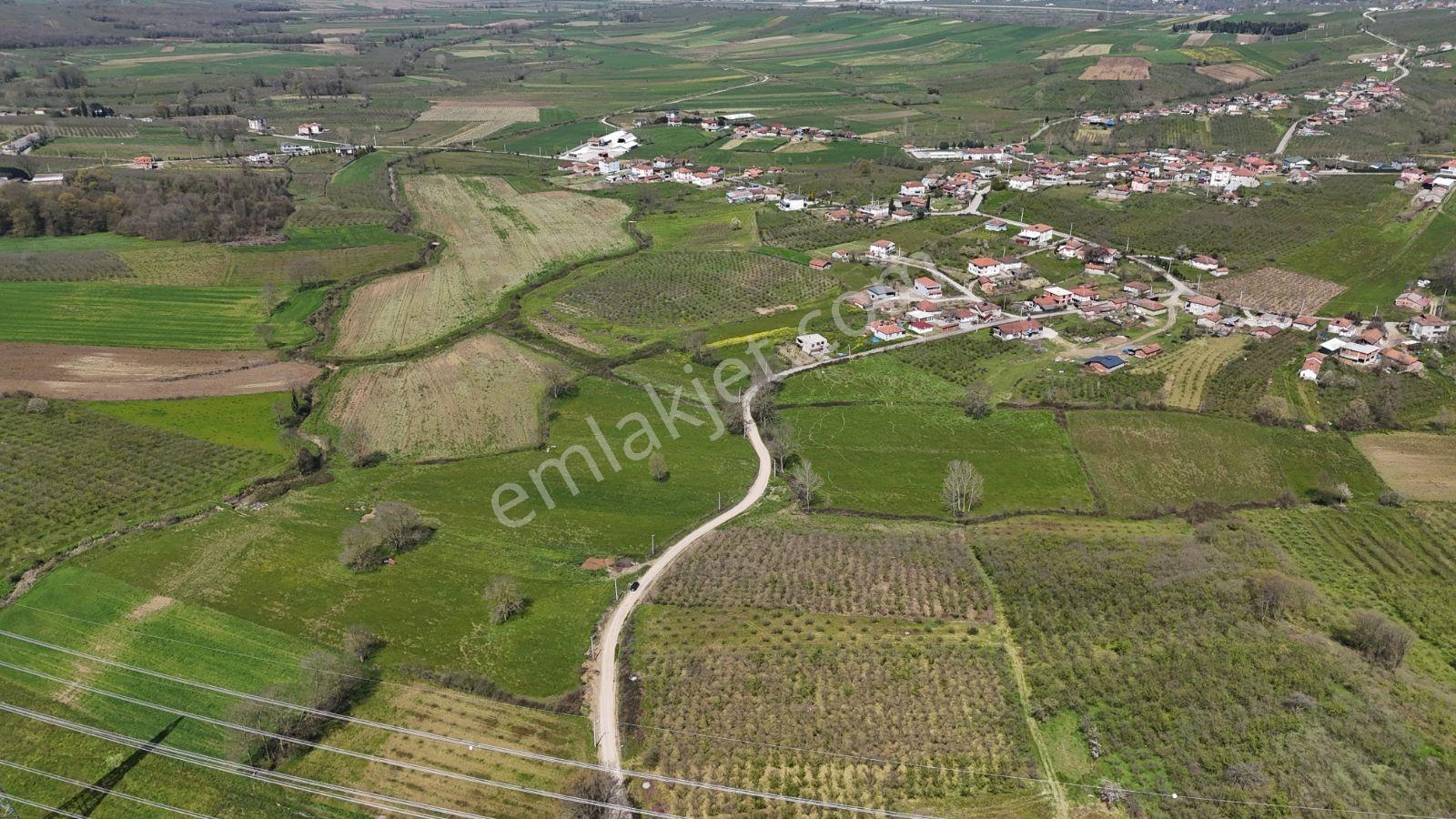 Tarcanlar'dan Sakarya Kaynarca Asfaltyol Cepheli 6.225 M² Tarla - Görsel 22