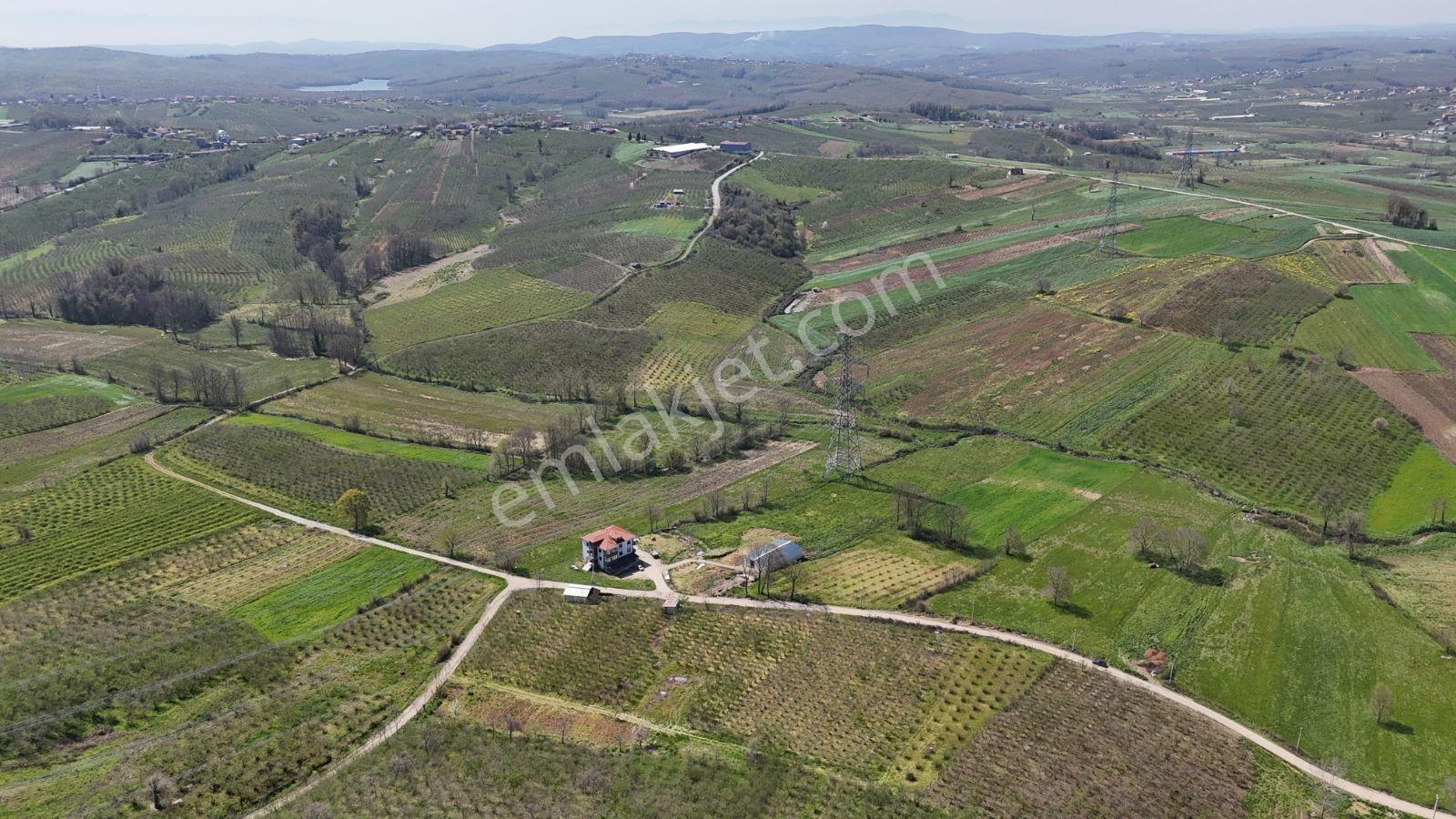Tarcanlar'dan Sakarya Kaynarca Asfaltyol Cepheli 6.225 M² Tarla - Görsel 11