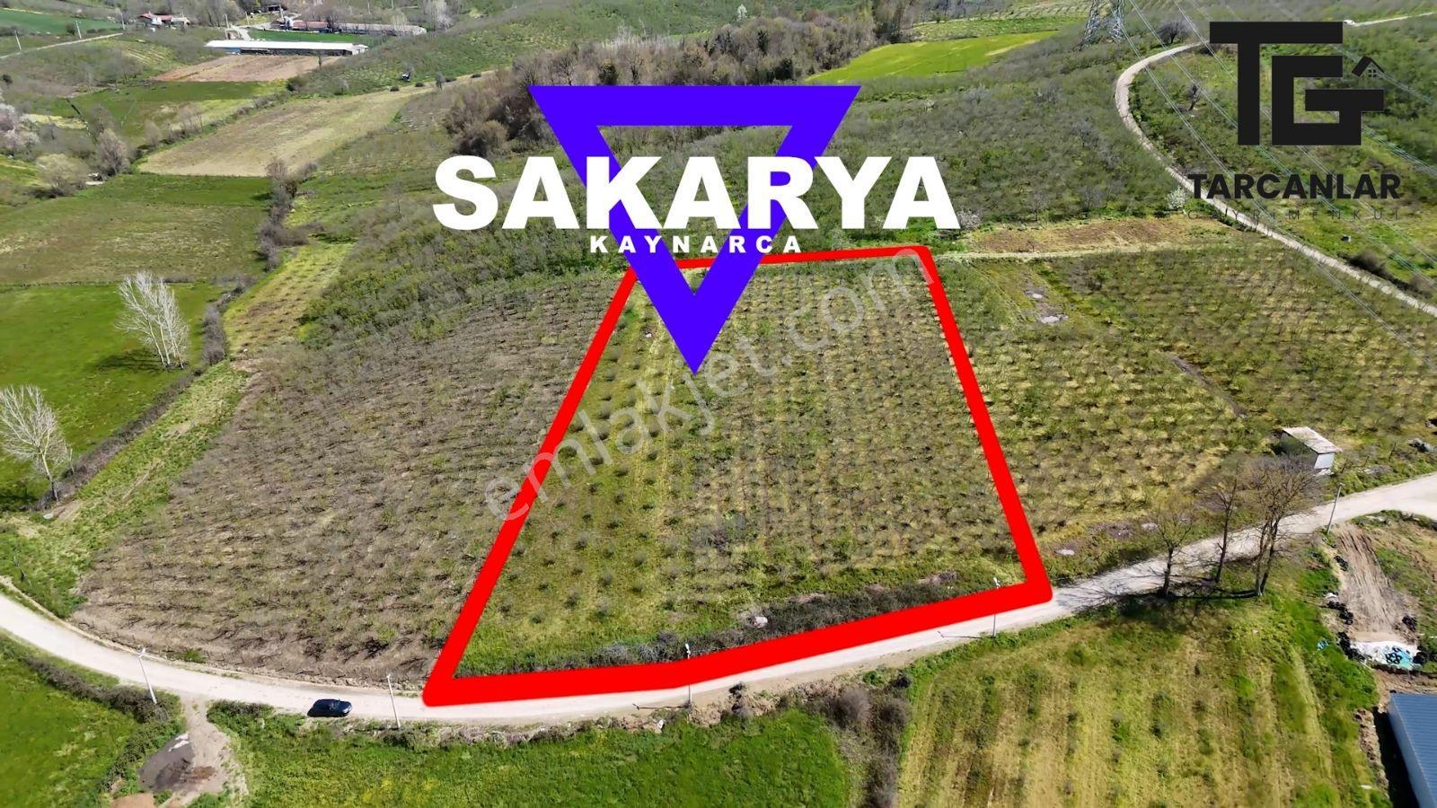 Tarcanlar'dan Sakarya Kaynarca Asfaltyol Cepheli 6.225 M² Tarla - Görsel 9