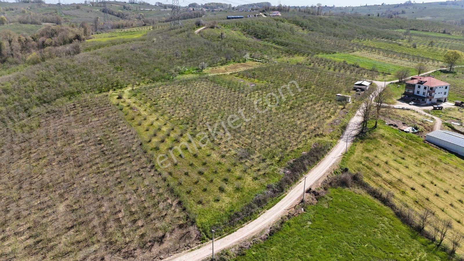 Tarcanlar'dan Sakarya Kaynarca Asfaltyol Cepheli 6.225 M² Tarla - Görsel 16