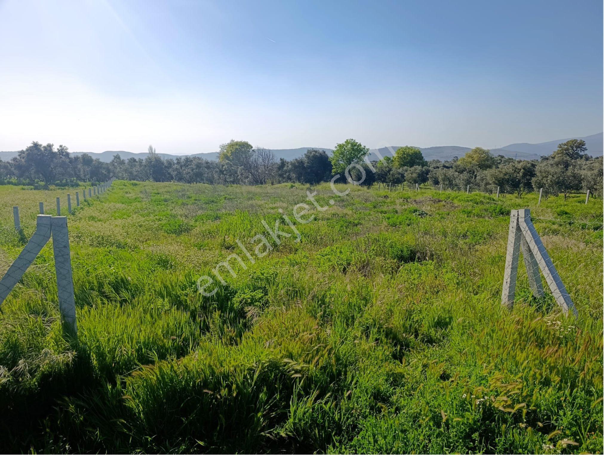 Torbalı Dirmil Mahallesi'nde 1848m2 Satılık Bağ - Görsel 5
