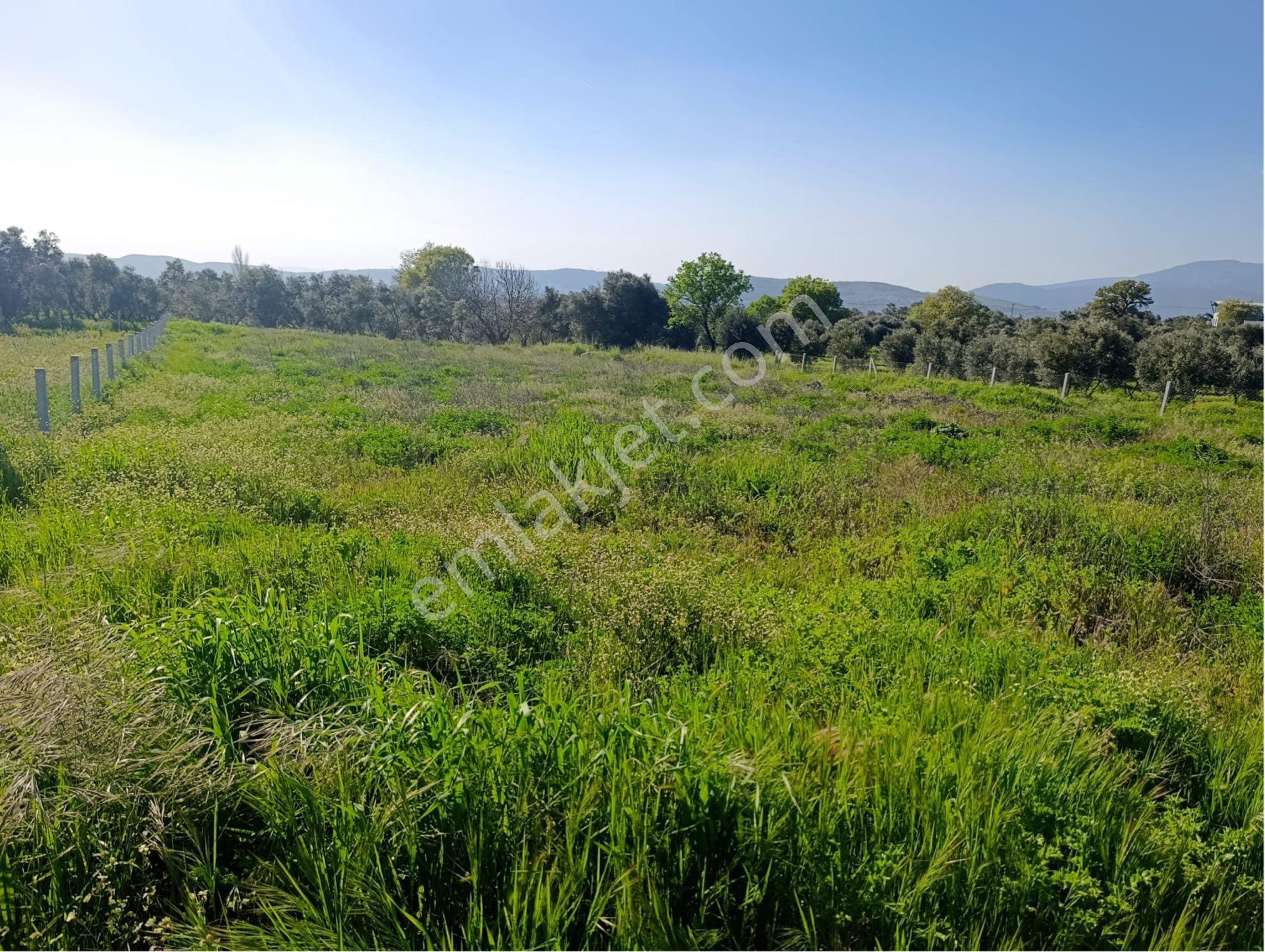 Torbalı Dirmil Mahallesi'nde 1848m2 Satılık Bağ - Görsel 7