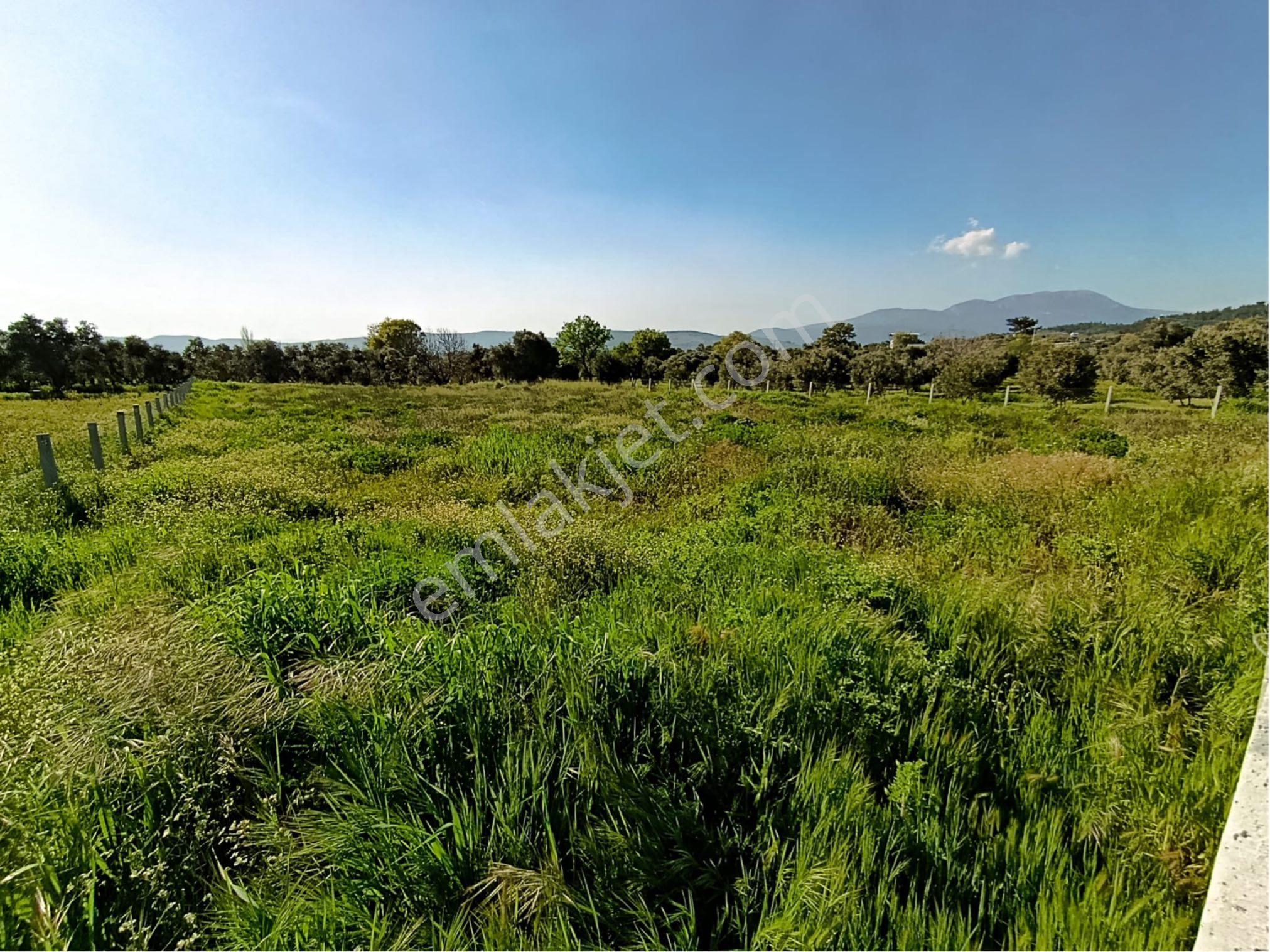 Torbalı Dirmil Mahallesi'nde 1848m2 Satılık Bağ - Görsel 4