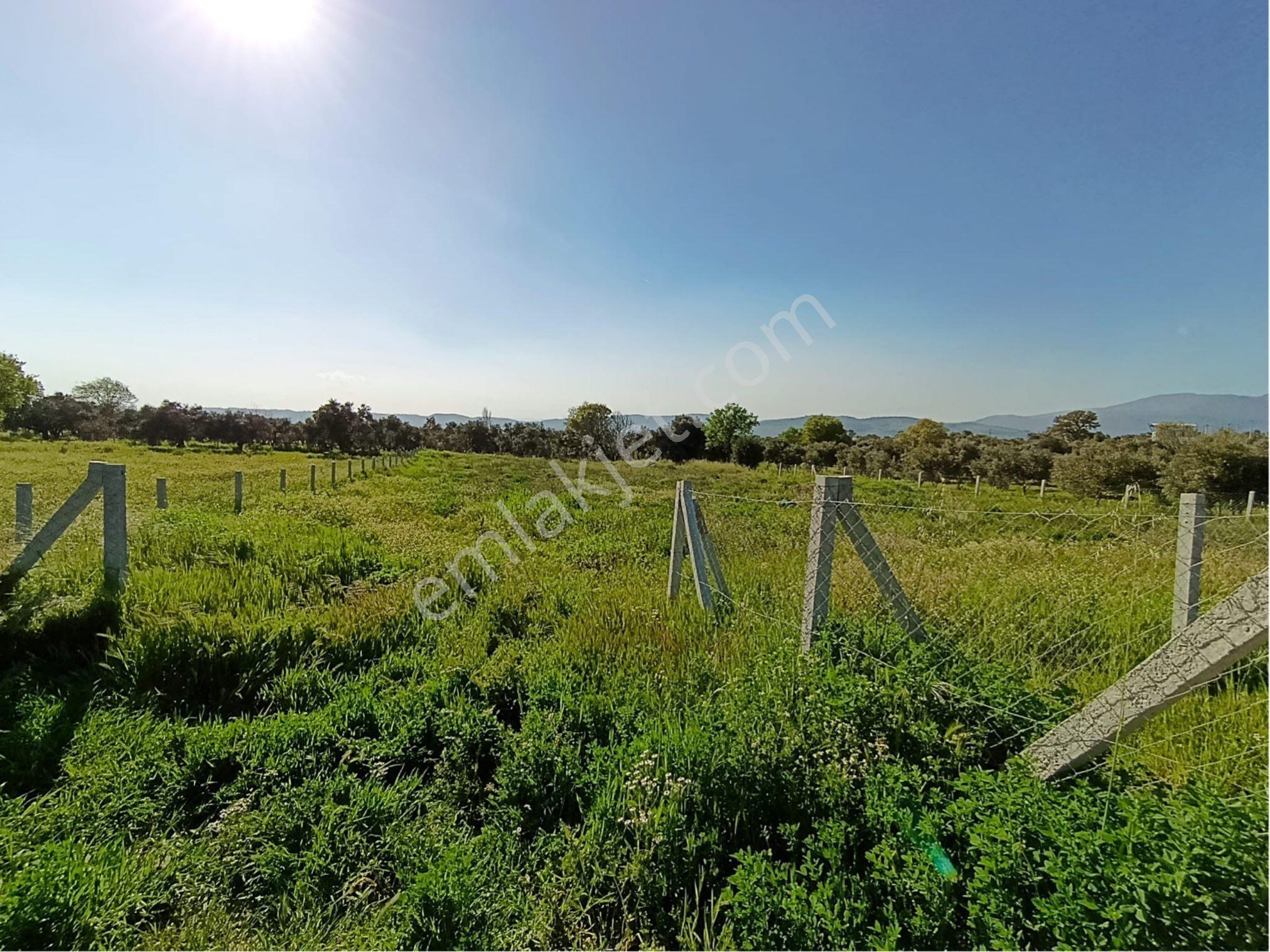 Torbalı Dirmil Mahallesi'nde 1848m2 Satılık Bağ - Görsel 9