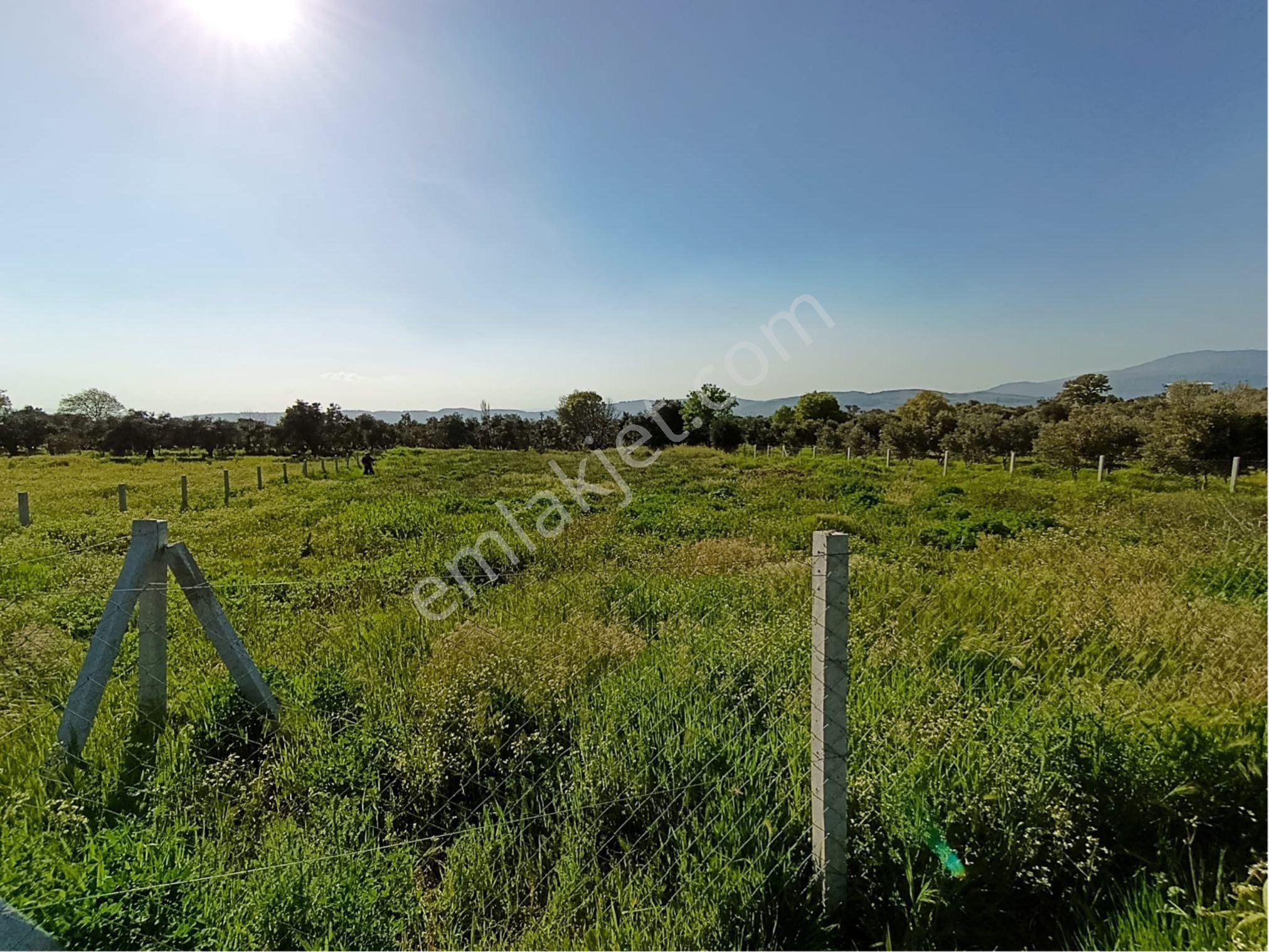 Torbalı Dirmil Mahallesi'nde 1848m2 Satılık Bağ - Görsel 30