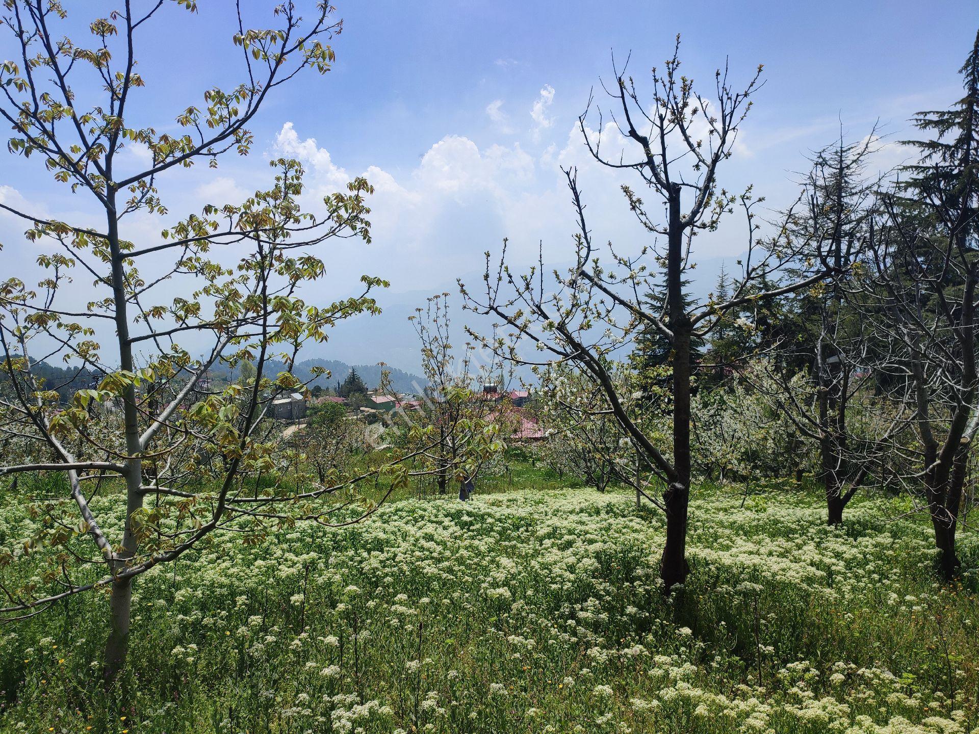 Tarsus Bögrüegri Mahallesinde Tek Tapulu 1611 M2 - Görsel 14