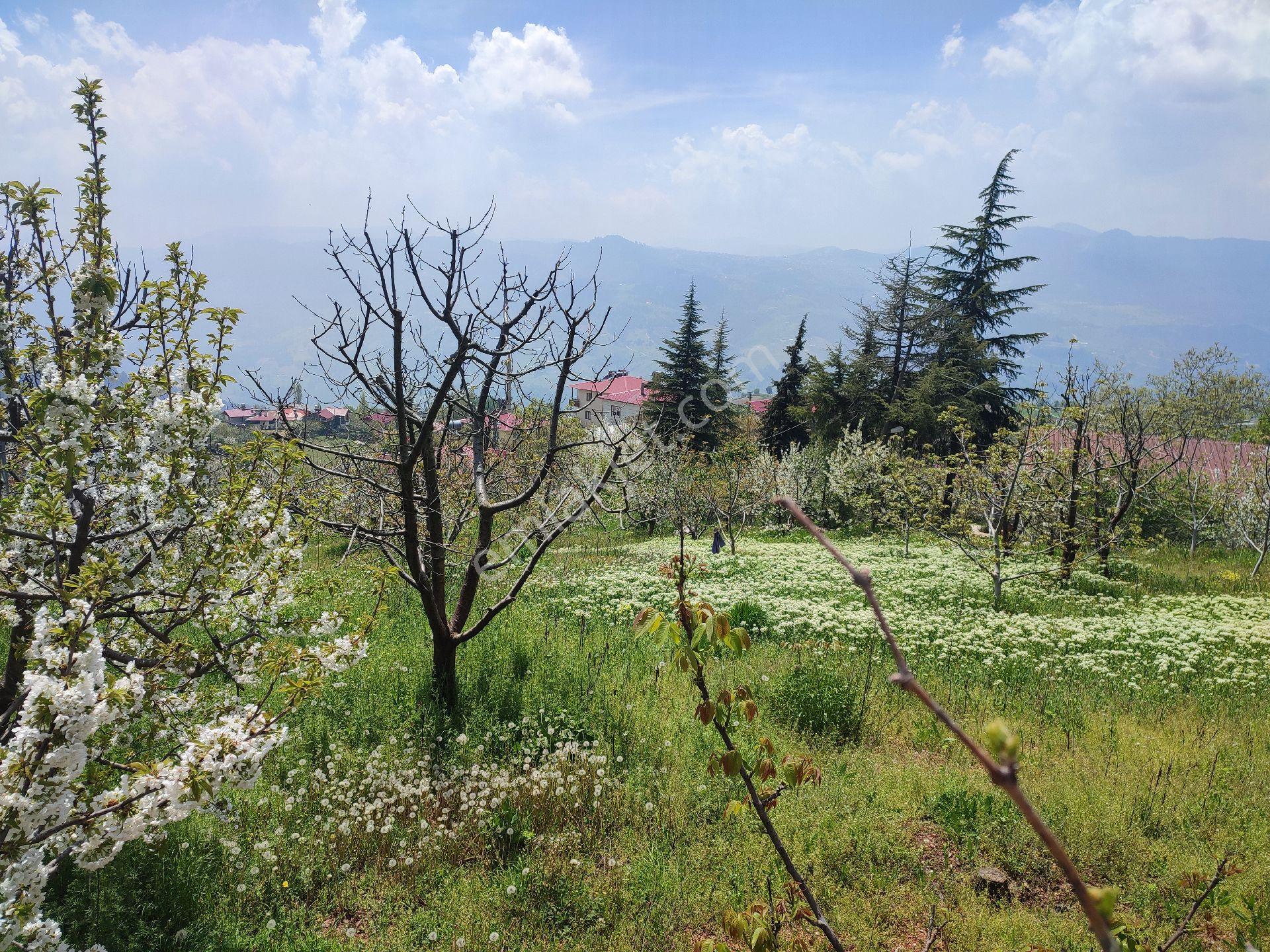 Tarsus Bögrüegri Mahallesinde Tek Tapulu 1611 M2 - Görsel 24