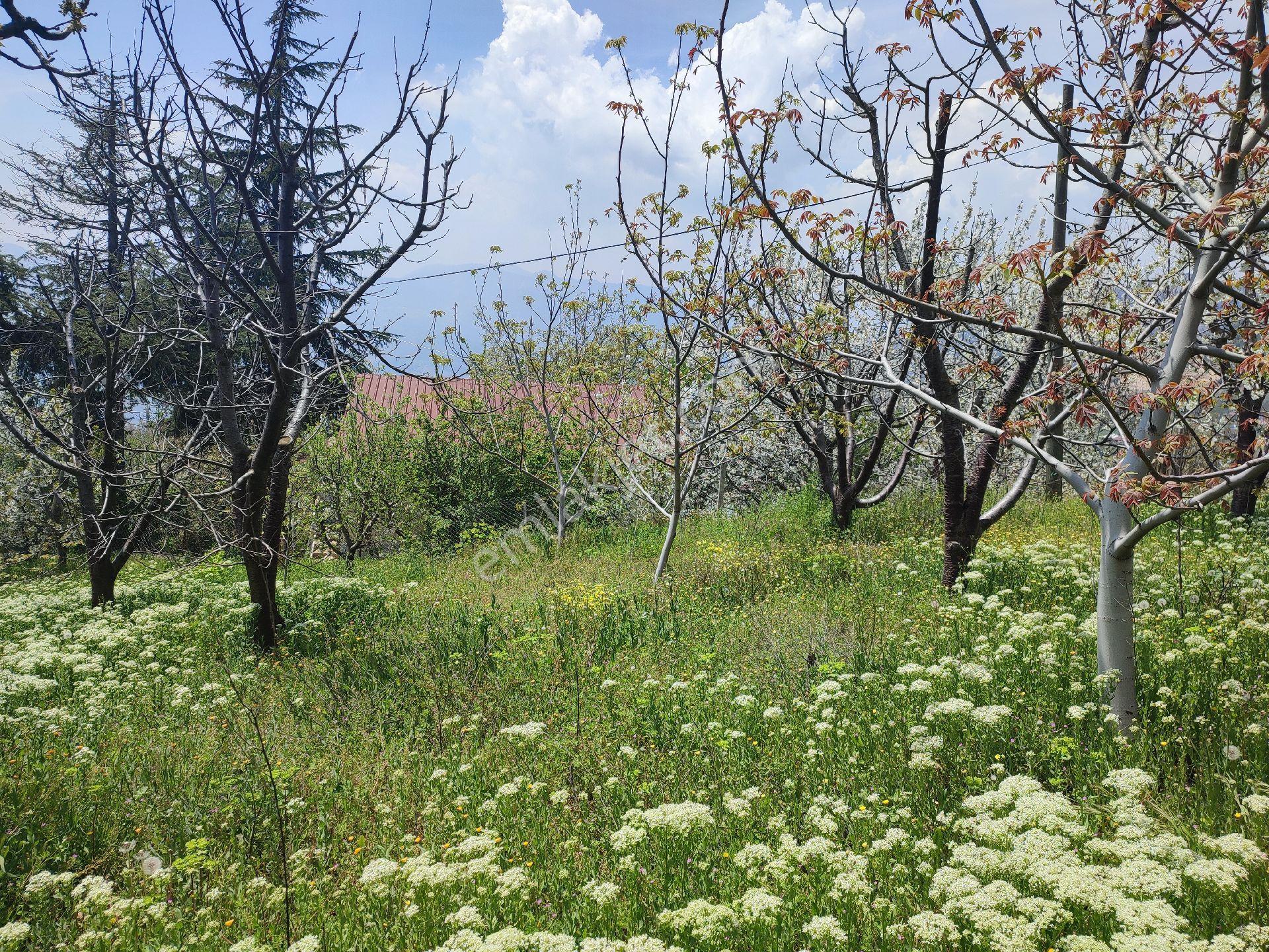 Tarsus Bögrüegri Mahallesinde Tek Tapulu 1611 M2 - Görsel 10